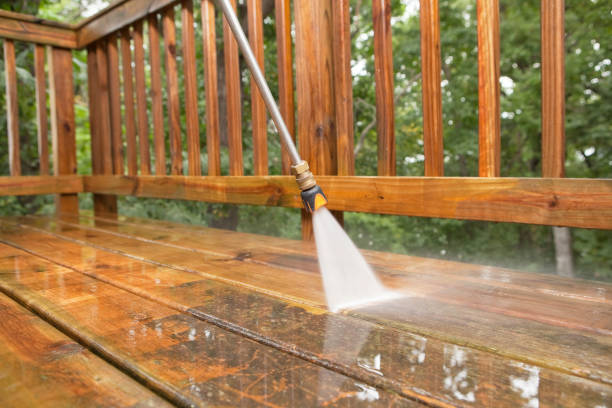 Best Garage Pressure Washing  in Vero Lake Estates, FL