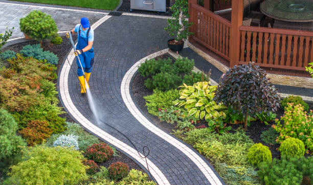 Best House Pressure Washing  in Vero Lake Estates, FL